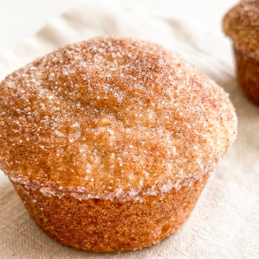 Cinnamon Sugar Donut Muffins